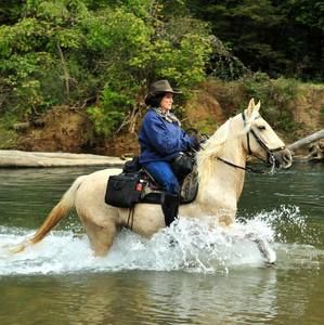 Meet your Posher, Gaye